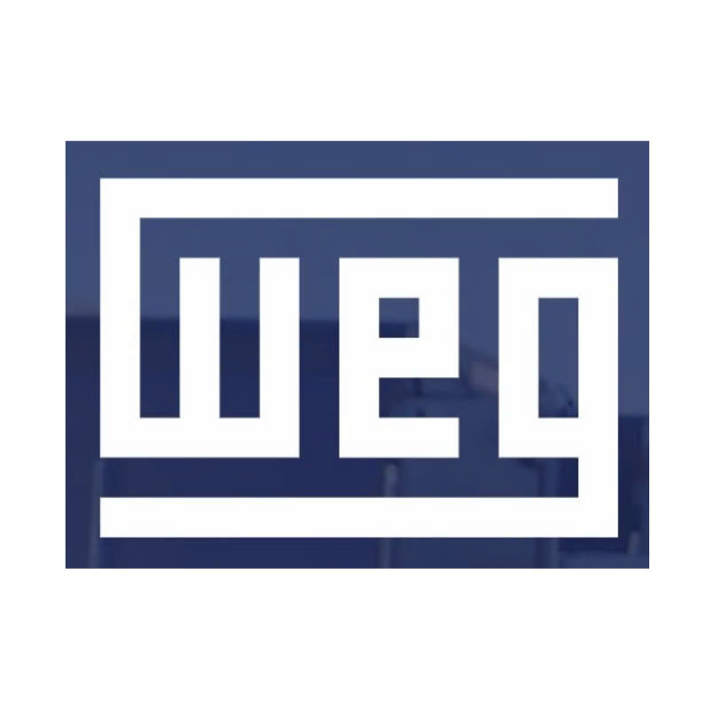 WEG Electric